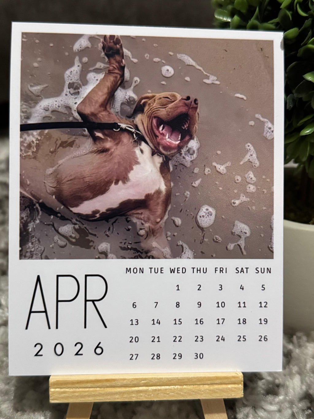 Personalized Calendar w/ Custom Photos