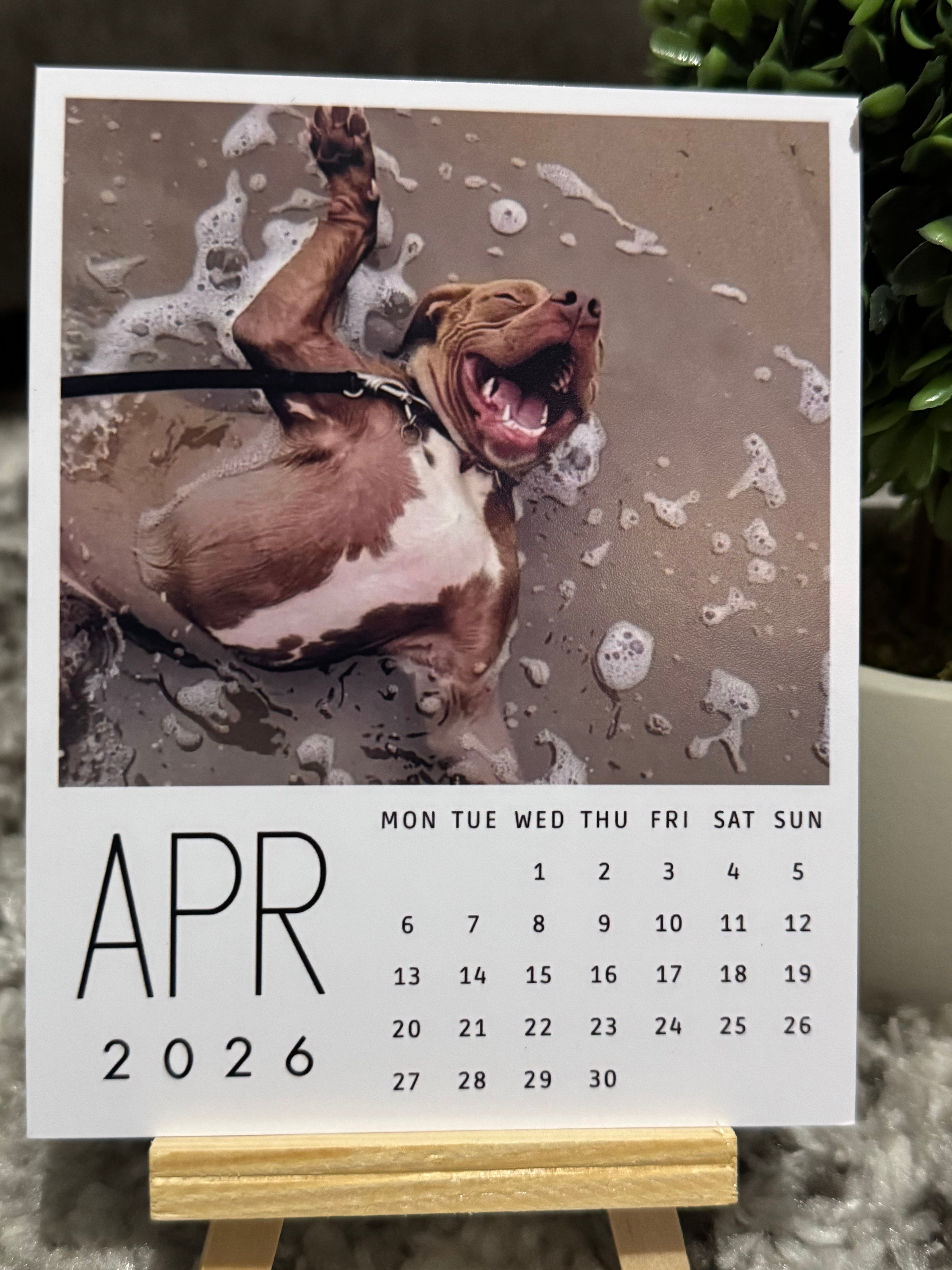 Personalized Calendar w/ Custom Photos